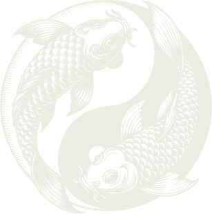 Ying Yang poisson