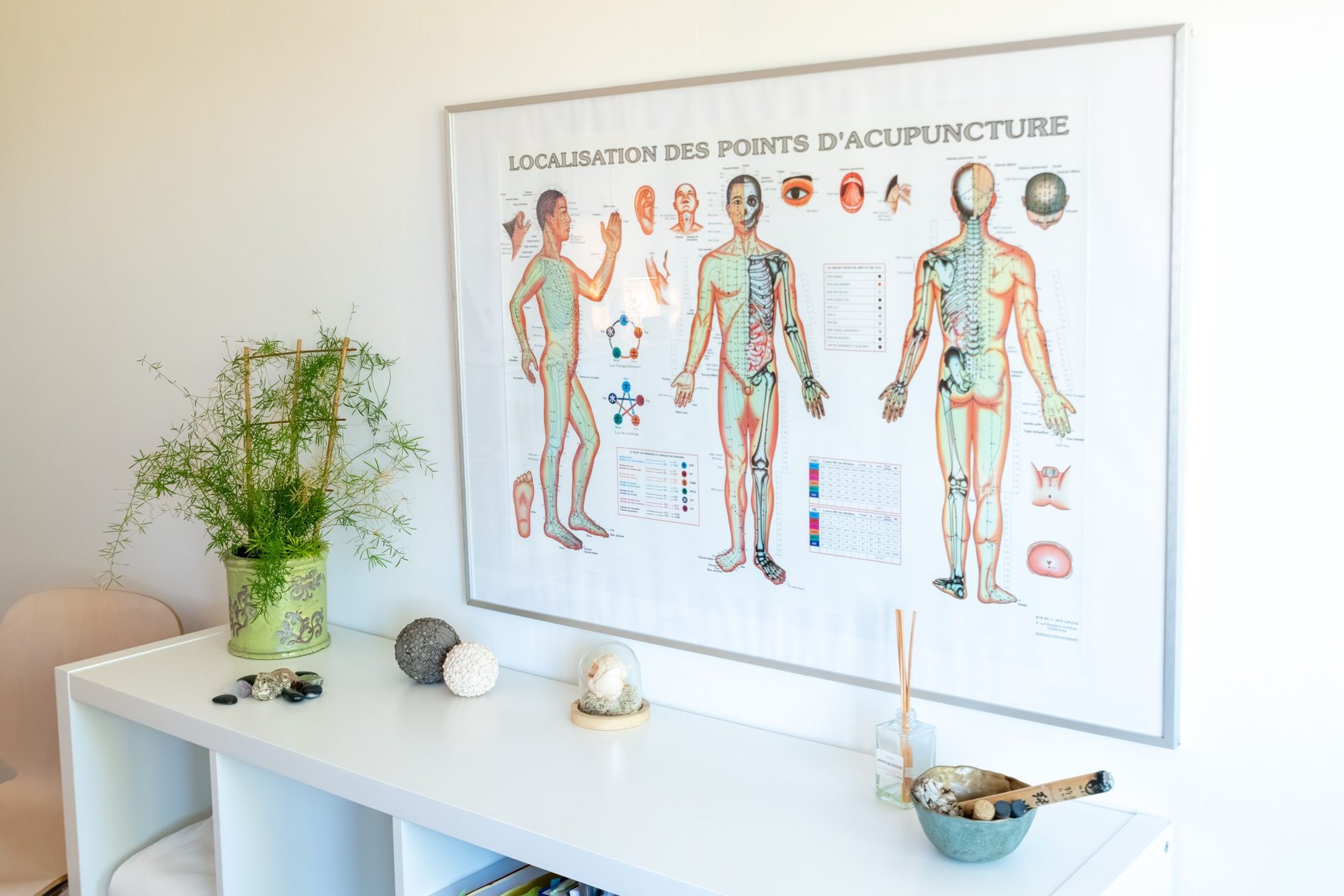 Planche des points d’acupuncture au cabinet